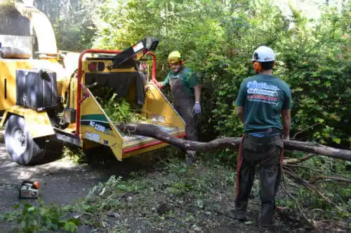 tree services North Manchester